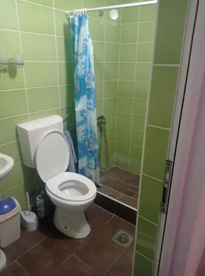 a bathroom with a toilet and a shower at Apartman Rogonjić in Sutomore