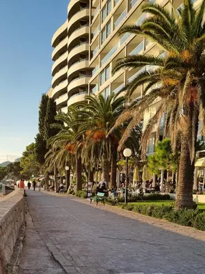 a street with palm trees in front of a building at Apartmani Pavlović in Becici