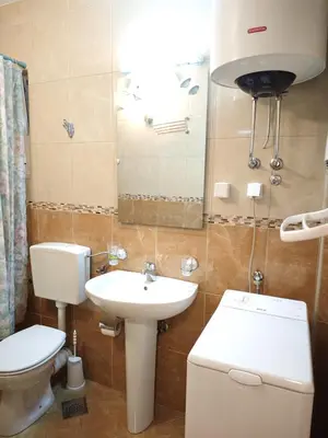 a small bathroom with a toilet and a sink at Apartment Olea in Becici