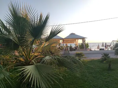 a palm tree in front of a gazebo on the beach at Apartments Kuce Lekovica Beach & snack bar- Bistro in Bar