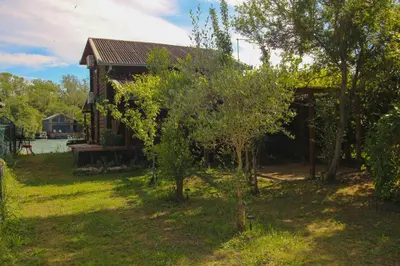 a small cabin with a tree in the yard at Ada Dream House in Kravlja