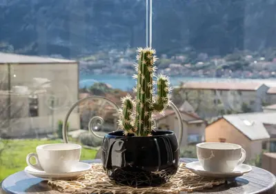a plant in a black pot on a table with two cups at Maxim24 in Dobrota