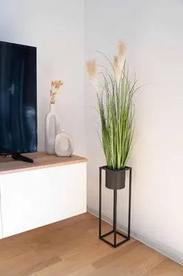 a plant sitting on a table next to a tv at Maxim24 in Dobrota