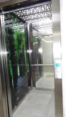 a glass door with a tree inside of it at Nataliia Twister Apartment in Budva