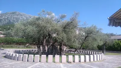 a tree in a park with a white fence at Nataliia Twister Apartment in Budva