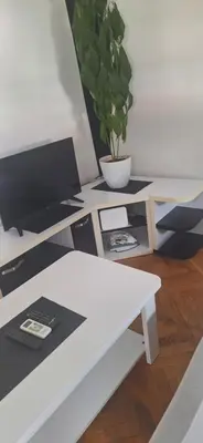 a white coffee table with a potted plant on it at Apartman Budva in Budva