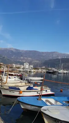 a bunch of boats are docked in a harbor at Dragan Apartment in Budva