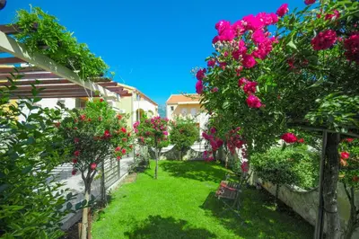 a garden with pink flowers and a fence at Villa Dragana in Budva