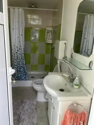 a bathroom with a sink and a toilet and a shower at Velicanka hostel 2 in Kravlja