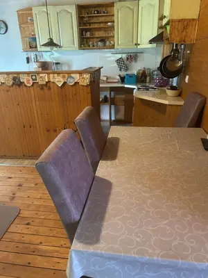 a kitchen with a table and some chairs and a table and a counter at Velicanka hostel 2 in Kravlja