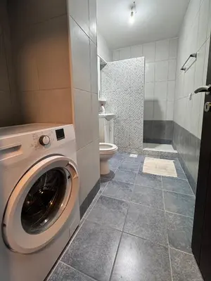 a washing machine in a bathroom with a toilet at Alex Apartment Petrovac in Petrovac na Moru
