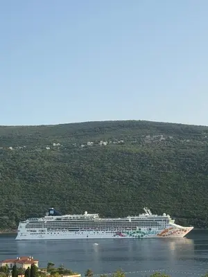 a cruise ship in a large body of water at Alex Apartment Petrovac in Petrovac na Moru