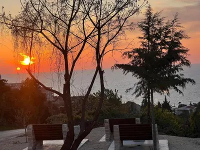two benches in front of a tree with the sunset at Utjeha Hills with Pool in Bar