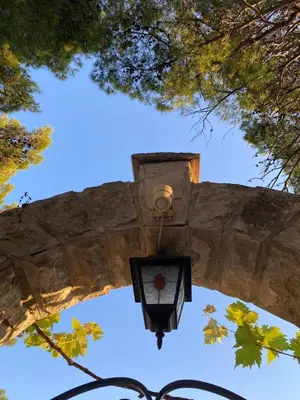 a street light in front of a stone wall with trees at Tri bora in Bar