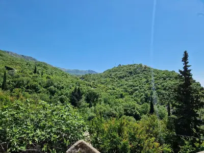 auliculiculiculiculiculiculiculiculiculiculiculiculiculiculic at Villa Bougainvilla in Becici