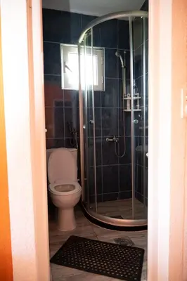 a bathroom with a toilet and a shower at apartmani DENI in Donji Štoj