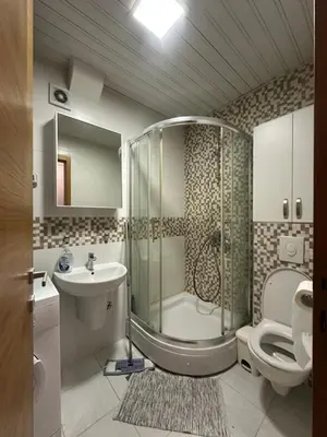 a bathroom with a shower and a sink and a toilet at District Loft in Podgorica