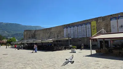 a bird is flying in front of a building at Доброморе Будва in Budva