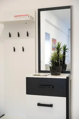 a mirror on a dresser with plants on it at Millennium Apartments Budva in Budva