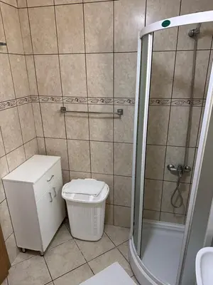 a small bathroom with a shower and a toilet at Summer Dreams Apartment in Budva