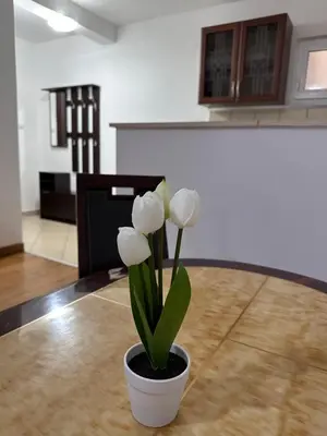 a vase with white flowers sitting on a table at Summer Dreams Apartment in Budva