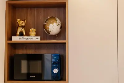 a shelf with a microwave and a cat and a globe at Avenza Residences Kotor Old Town in Kotor