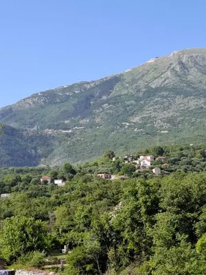 a view of a mountain with houses and trees at Milovic Apartman in Kotor