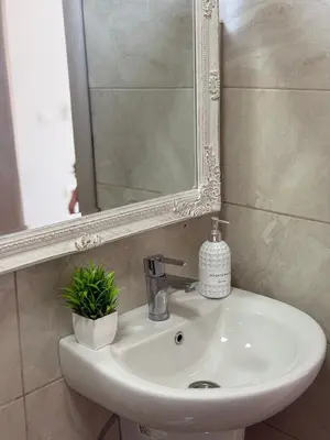 a bathroom sink with a mirror and a plant on it at Adam & Eve Family Apartment in Dobra Voda