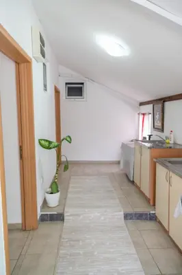 a kitchen with a plant in the middle of a room at Beach Center in Ulcinj