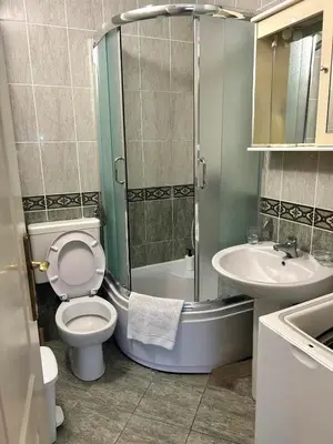 a bathroom with a shower and a toilet and a sink at Apartment Gala in Budva