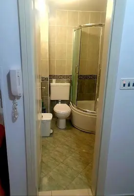 a bathroom with a toilet and a shower and a sink at Apartment Gala in Budva