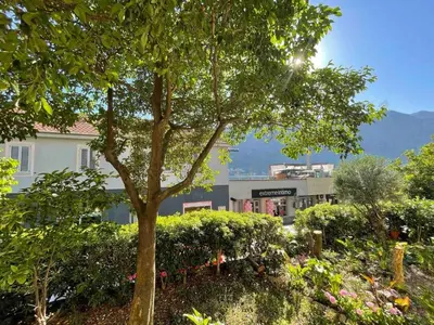 a tree in a garden in front of a building at Apartment Mijuskovic in Kravlja