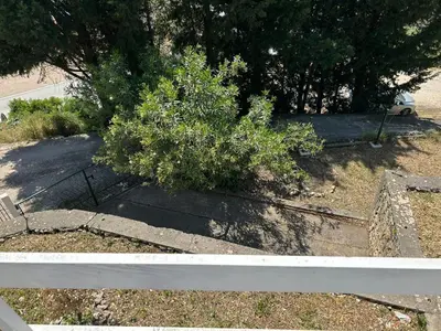 a bush sitting next to a white fence at Prestige House in Dobra Voda