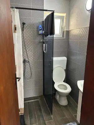 a small bathroom with a toilet and a shower at Prestige House in Dobra Voda
