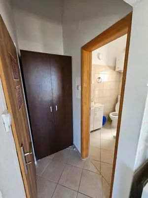 a bathroom with a toilet and a wooden door at Vila Lučica studio pogled na more in Petrovac na Moru