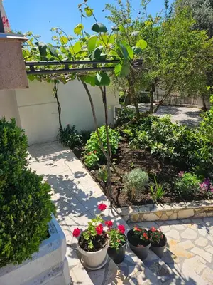 a garden with several pots of flowers and plants at Vila Lučica apartman pogled na more in Petrovac na Moru