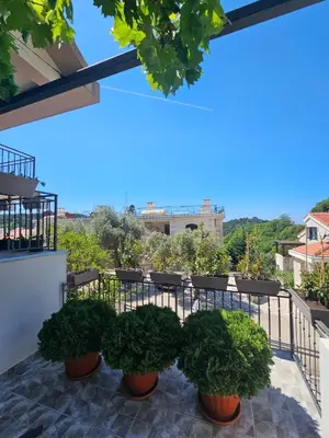 a balcony with potted plants and a view at Vila Lučica apartman pogled na more in Petrovac na Moru