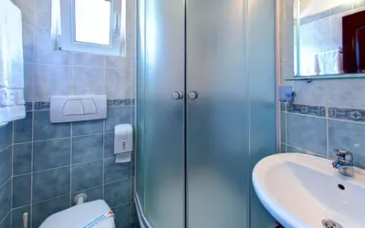 a bathroom with a shower and a toilet and a sink at Vila Koral in Petrovac na Moru
