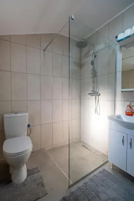a bathroom with a toilet and a glass shower at Nika house in Cetinje