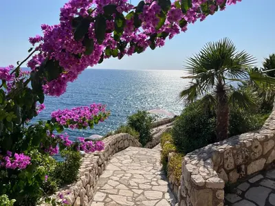 a pathway with purple flowers and the ocean at Emerald Dreamscape with Private Beach & Pool in Dobra Voda