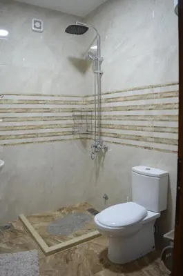 a bathroom with a toilet and a shower at NIDA Apartment in Ulcinj