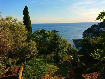 a view of the ocean from a garden at Apartment Ulcinj in Ulcinj