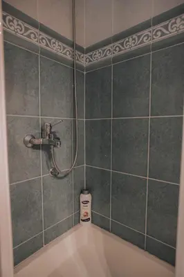 a bathroom with a shower and a bath tub at Apartman Damjanovic in Cetinje