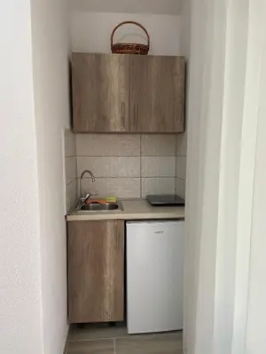 a small kitchen with a sink and a refrigerator at Belaapartman in Kravlja