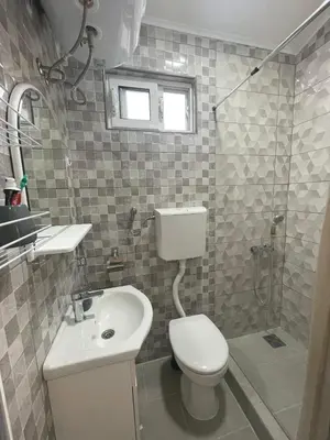a bathroom with a toilet and a sink and a shower at Belaapartman in Kravlja