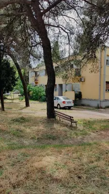 a park with a bench next to a tree and a car at Cozy & Bright Garden Flat in Podgorica