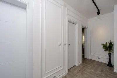 a hallway with white walls and white doors and a potted plant at Alpha Neo in Bar