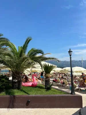 a crowd of people on the beach with palm trees at Seaside Milena Appartment in Budva