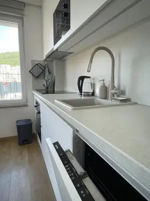 a kitchen with a sink and a counter top at TehnomaX in Budva