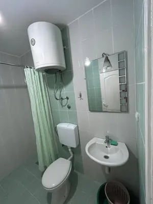 a small bathroom with a toilet and a sink at Apartmani Čanj in Čanj